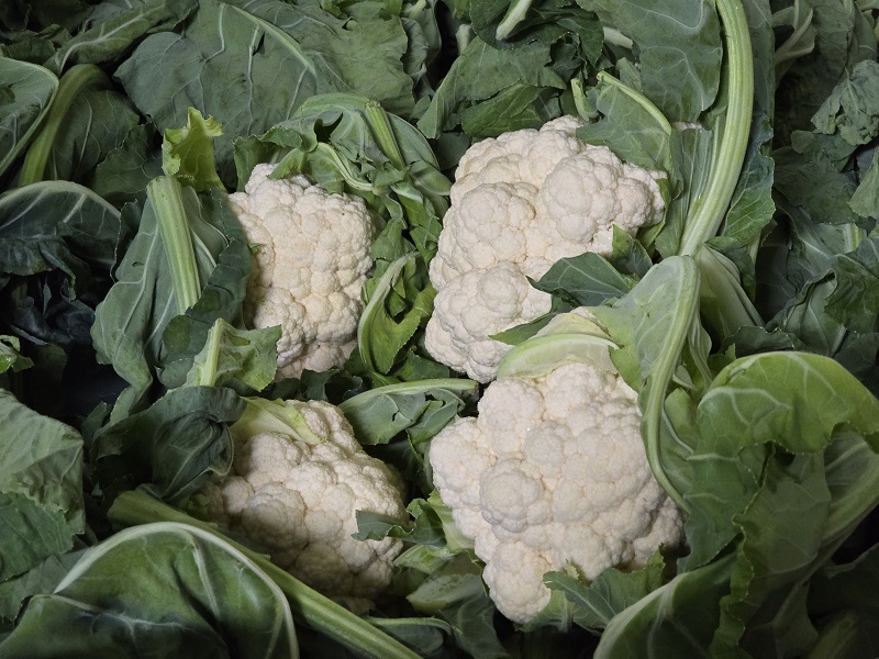 cauliflower